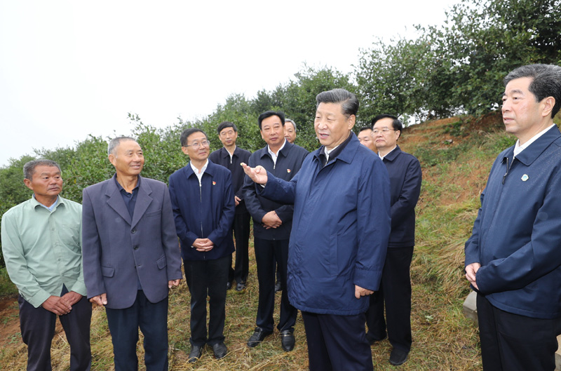 　　9月16日至18日，中共中央總書記、國家主席、中央軍委主席習近平在河南考察。這是17日上午，習近平來到信陽市光山縣槐店鄉(xiāng)司馬光油茶園，同正在勞作的村民和管理人員交流。 新華社記者 鞠鵬 攝