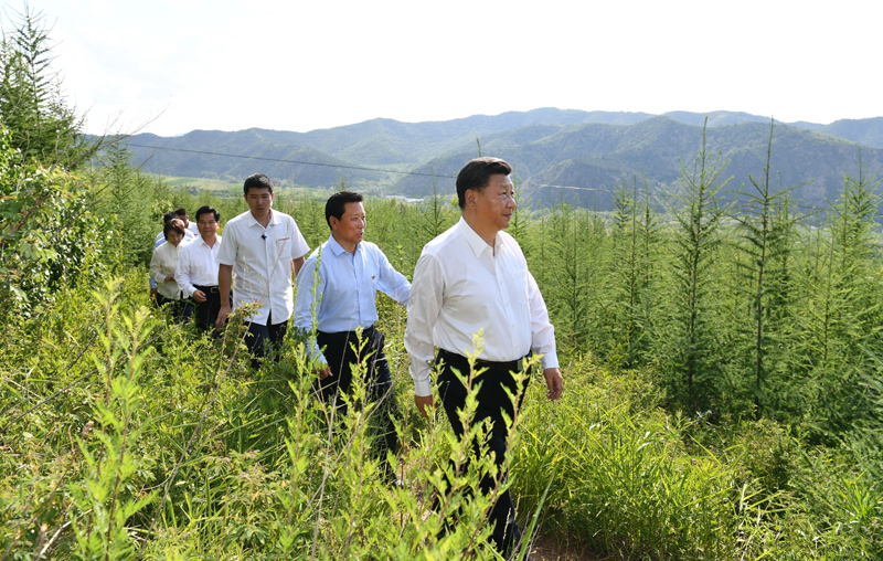 7月15日至16日，中共中央總書記、國(guó)家主席、中央軍委主席習(xí)近平在內(nèi)蒙古考察并指導(dǎo)開展“不忘初心、牢記使命”主題教育。這是15日下午，習(xí)近平在赤峰市喀喇沁旗馬鞍山林場(chǎng)林區(qū)，沿著崎嶇的護(hù)林小道察看林木長(zhǎng)勢(shì)。